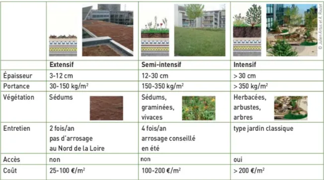 Tableau 3 Différents types de végétalisation de toitures et leurs caractéristiques, Réaliser des toitures végétalisées  favorables à la biodiversité, ODBU, 2011 