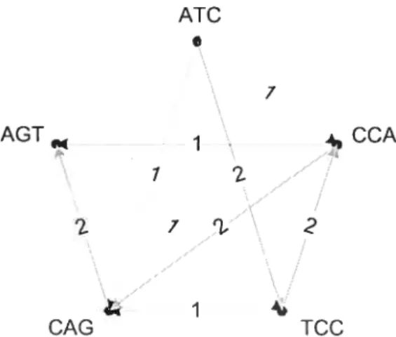 FIG. 3.1 — Graphe orienté pour P et le chemin le plus court