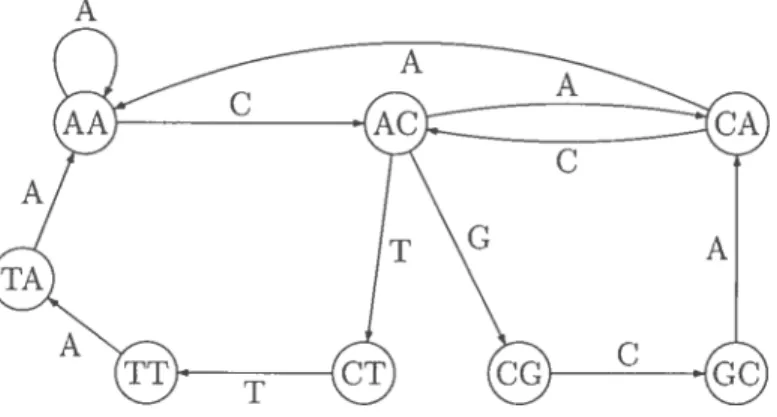 FIG. 3.5 Graphe orienté pour l’ensemble de fragments P = { AAA, AA C, A C’A, CAC’, CAA, ACG