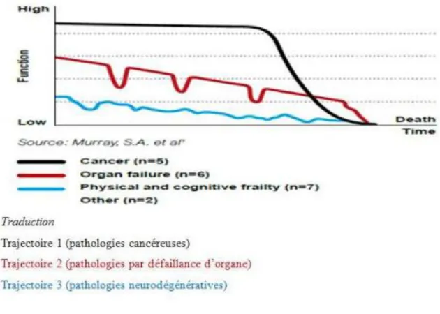 Figure 3 : Modélisation des trajectoires de vie des patients en situation palliative. 