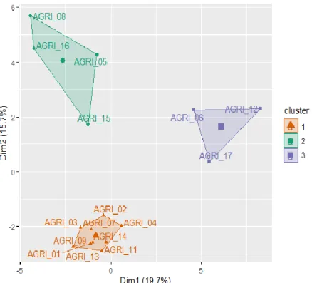 Figure 13 : Classification des SDC Popcorn obtenue à partir du modèle expertisé. La classe 1 et 2  de l’HCPC de la figure 11 correspondent à la classe 2 de l’HCPC de cette figure