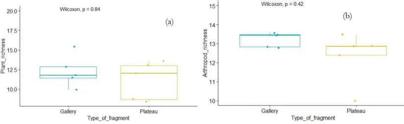 Figure 4: Boxplots of effect of the type of fragment on plant and arthropod richness. 