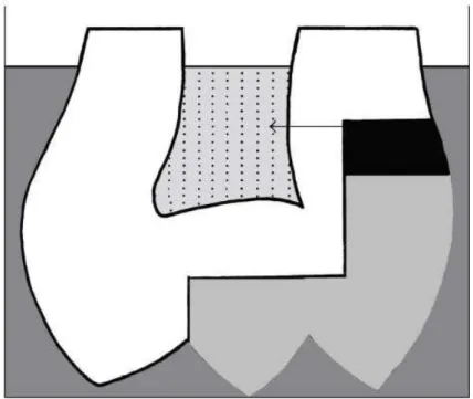 Figure 14 - Test de diffusion du glucose 