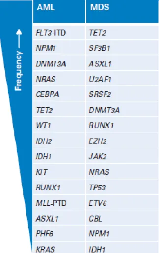 Tableau I : Comparaison de la fréquence relative des mutations dans les LAM et MDS (Aajit Rampal et Ross L