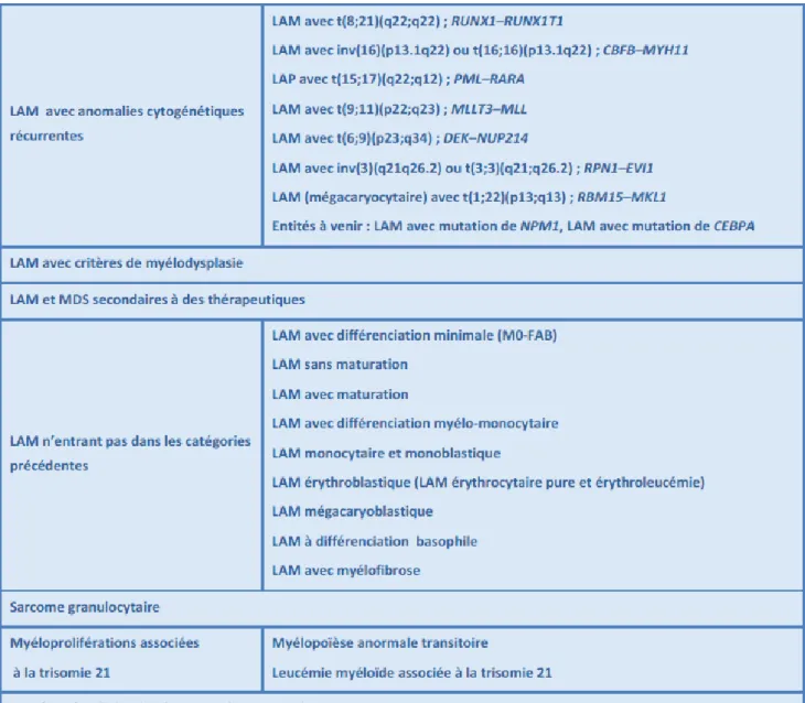 Tableau IV : Révision 2008 de la classification OMS des leucemies aigues et neoplasies associees (Vey N et al.) 