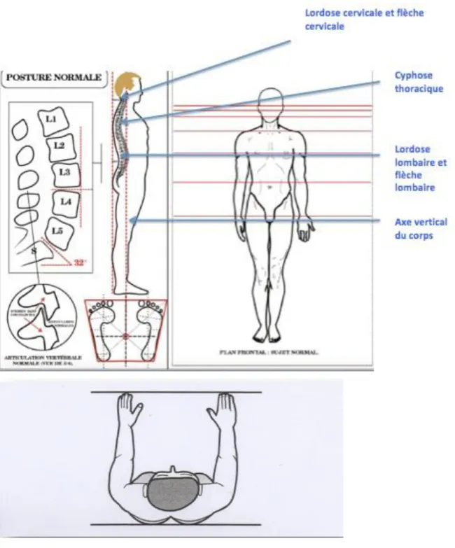 Figure 12 : Examen du patient dans les trois sens de l'espace 