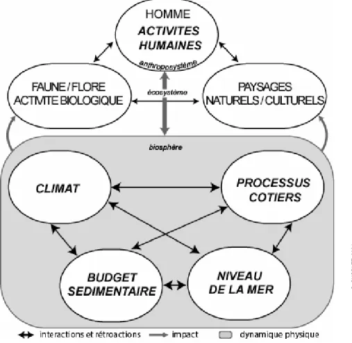 Figure 3 : Les composantes du système littoral : actions, interactions et rétroactions