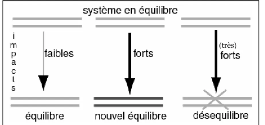 Figure 4 : Le système littoral, un équilibre menacé en permanence,   D’après Guigo, 1991 