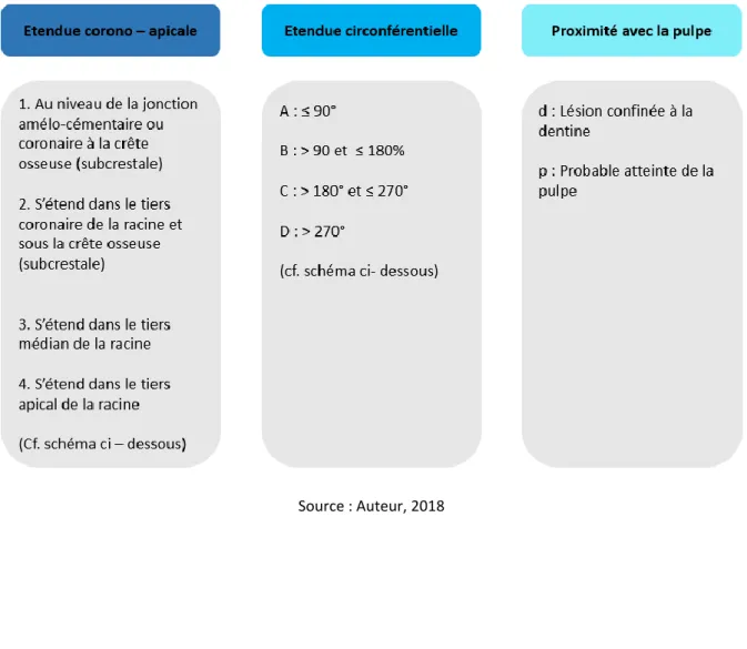 Tableau 1 : Tableau présentant la classification tridimensionnelle des résorptions cervicales externes  proposée par PATEL 2017 