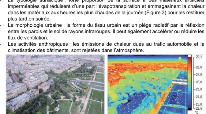 Figure 2 : Vue aérienne et thermographie d'un parc urbain à Paris - Source : (APUR, 2012) 