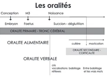 Figure 1 : Les deux oralités (Thibault, 2007 ; Thibault, 2015) 