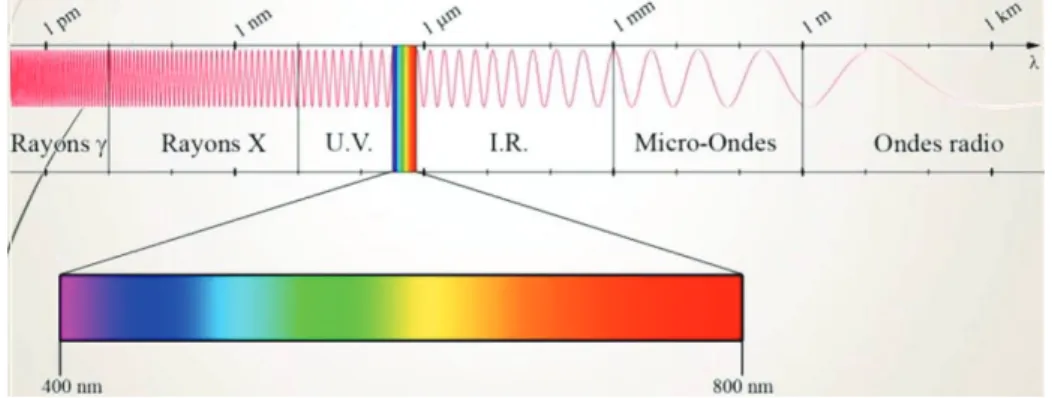 Figure 2 : Spectre électromagnétique de la lumière visible  