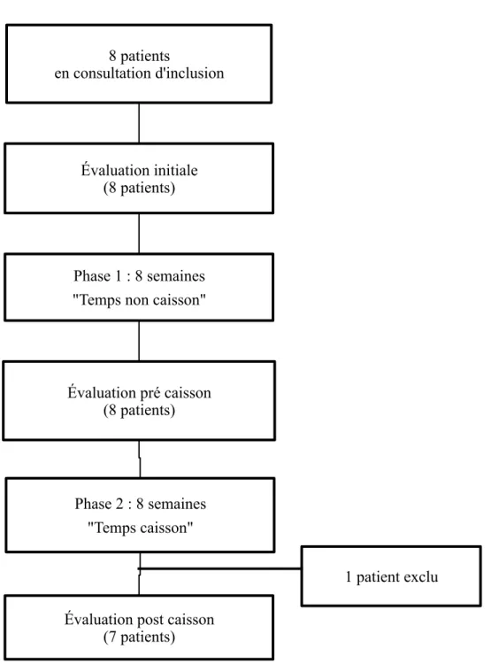 Figure 1 : diagramme de flux  8 patients  en consultation d'inclusion  Évaluation initiale  (8 patients)  Phase 1 : 8 semaines 