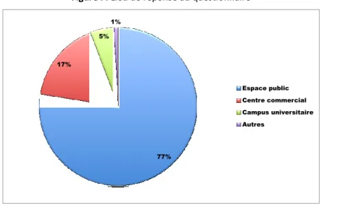 Figure I : Lieu de réponse au questionnaire 