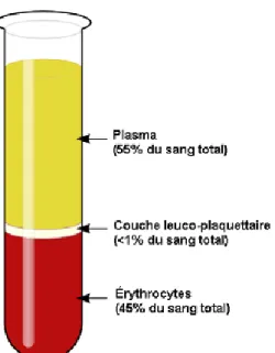 Figure 1.1. : Visualisation des composantes du sang après centrifugation. 