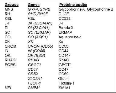 Tableau 2.2. : Description des protéines dont l’ARNm a été ciblé pour les analyses génomiques [6, 36] 