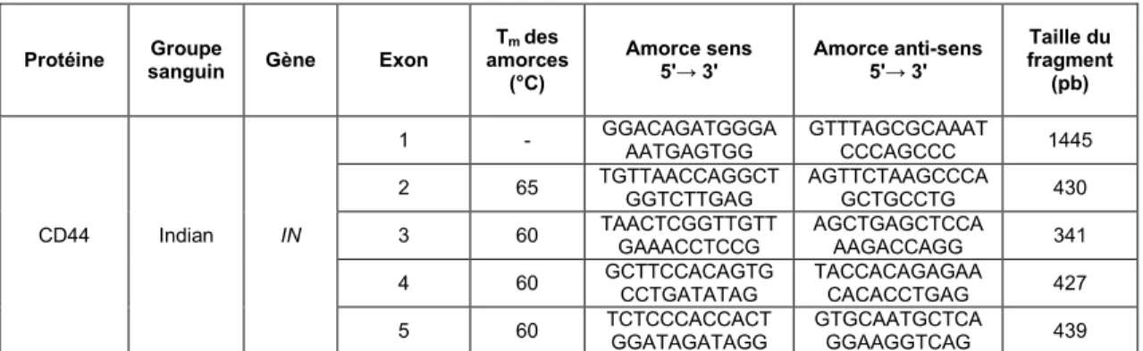 Tableau 2.3. : Conditions expérimentales pour l'amplification des exons 1 à 5 de l'ARNm de la glycoprotéine  CD44