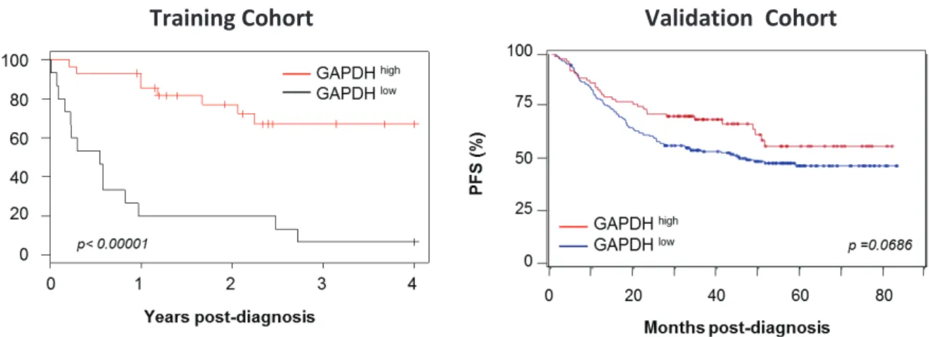 Figure 10. La GAPDH est un marqueur de la survie sans progression des DLBCL traités par R-CHOP