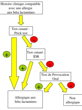 Figure n°5: Algorithme pour le diagnostic des allergies immédiates aux β-lactamines. 