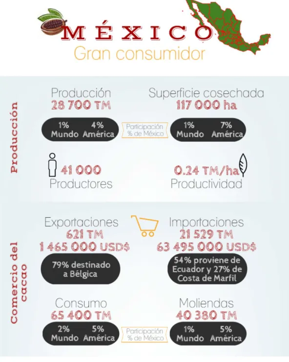 FIGURA 7. Situación actual de la producción y el comercio del cacao en México.