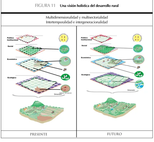 FIGURA 11     Una visión holística del desarrollo rural