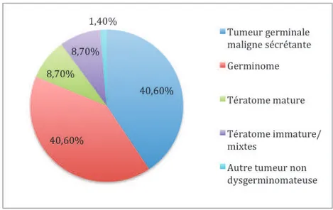 Figure 17: Sous groupes histologiques parmi les tumeurs du parenchyme pinéal (PPT)