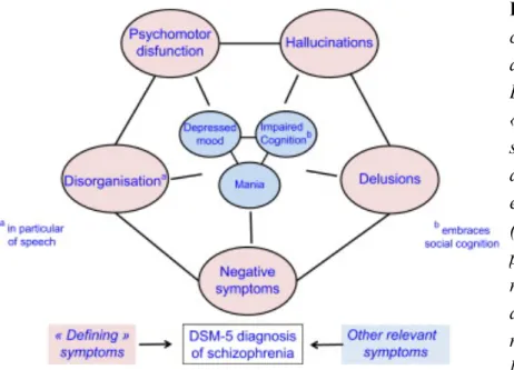 Figure 1 : Les symptômes négatifs 