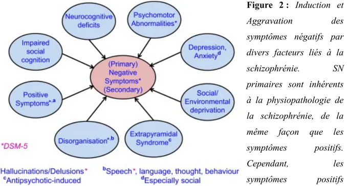 Figure  2 :  Induction  et  Aggravation  des  symptômes  négatifs  par  divers  facteurs  liés  à  la  schizophrénie