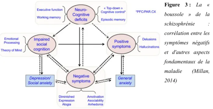 Figure  3 :  La  «  boussole  »  de  la  schizophrénie  :  corrélation entre les  symptômes  négatifs  et  d'autres  aspects  fondamentaux  de  la  maladie  (Millan,  2014)  