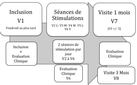 Tableau 7 : calendrier des visites  Inclusion  (V1)  Séance 1 (V2)  Séance 10 (V6)  1 Mois (V7)  3 Mois (V8)  Information du patient  X  Recueil  du  consentement  X  Vérification  des  CI/CNI  X 