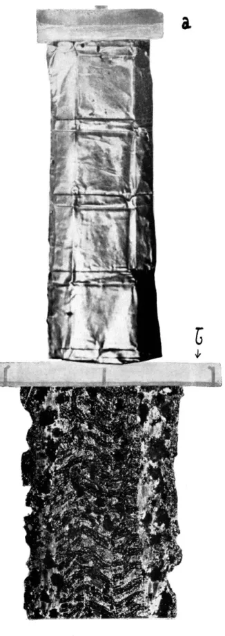 Fig. 3. — Garniture d'argent (b)  de  la  garde. 