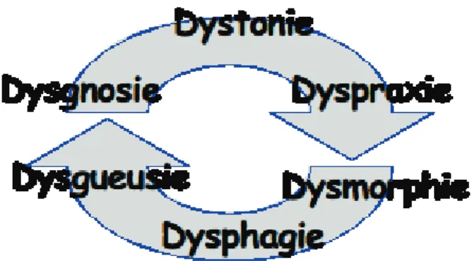 Figure 11 : &#34;Interdépendance des troubles associés à la dysphagie&#34;. Réseau Lucioles