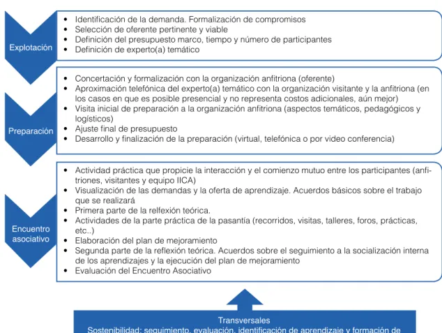 Gráfico 1. Síntesis por fases.