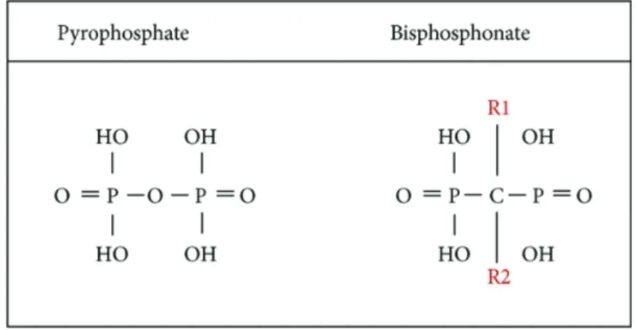 Figure 17 – Formules chimiques du pyrophosphate et du biphosphonate 