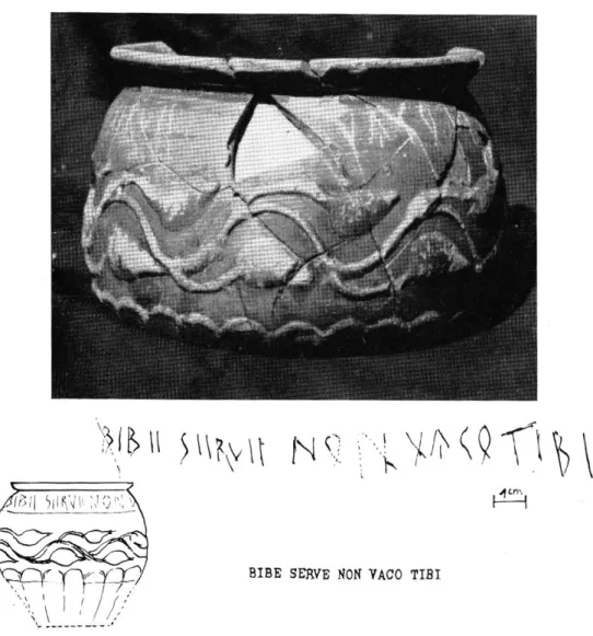 Fig. 6. — ■ Le vase n° 240  (échelle de la photographie  1:1). Bibe serve non vaco Hbi