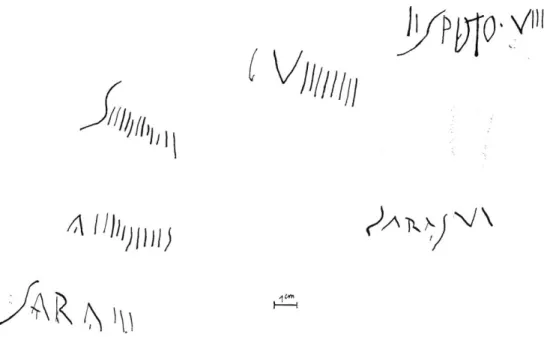 Fig. 10. — Disposition du grafïîte  sur le  vase à liquide n° 455, vase à  deux anses, d'une contenance de  plusieurs litres