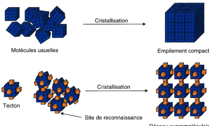 Figure 1.7 Représentation schématique de la cristallisation de molécules usuelles pour former des cristaux où les molécules sont empilées de façon compacte (ci-haut), et cristallisation d’un tecton pour former un réseau supramoléculaire où l’auto-assemblag