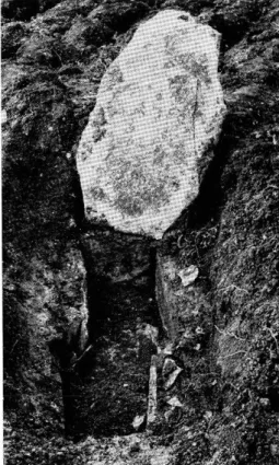 Fig.  5.  —  Tombe n° 7.  A droite, le  fragment  de  sarcophage  qui  recouvrait  la  tête  du  squelette 