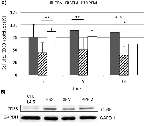 Figure 3.3 Modulation de CD38 à la surface des lymphocytes B selon le milieu de culture  Les cellules ont été cultivées pendant 14 jours dans le milieu FBS, le milieu SFM ou le milieu  BPFM