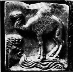 Fig.  10.  —  Monnaies de D. Junius Silanus, avec  la  représentation  d'un  silanus  bouche  ouverte