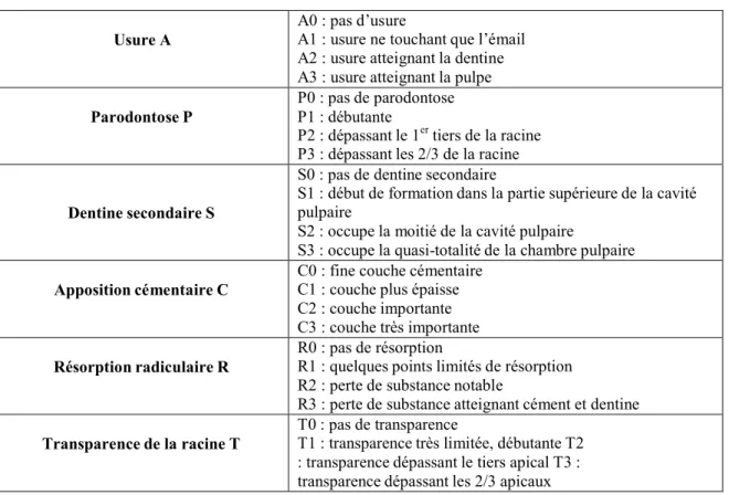 Figure 6 : Les 6 critères de Gustafson pour l’analyse d’une dent antérieure sciée dans le sens sagittal