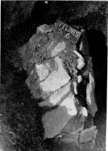 Fig.  8.  Tombe  n°  8,  violée,  X  comme l'indique le  désordre  des  pierres. Photo  G