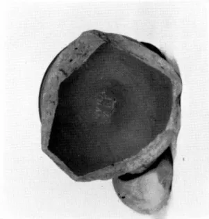 Fig.  26.  —  L'estampille  TITOS  inversée 