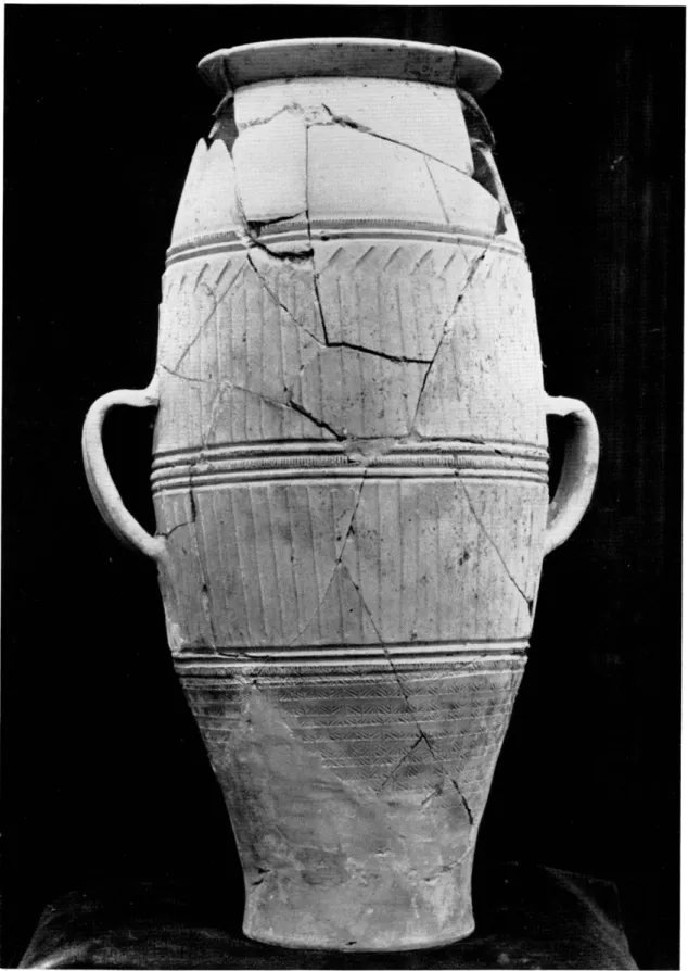 Fig.  30.  —  Grand vase  unissant les  deux types  de décorations. 