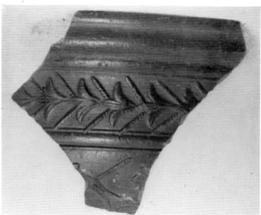 Fig.  13.  —  Fragment caréné  avec frise  décorative. 