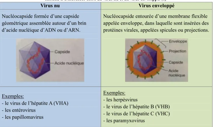 Tableau I. Différences entre un virus nu et un virus enveloppé. (1) 