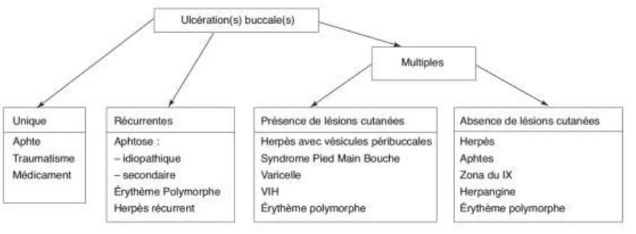 Figure 16. Démarche diagnostique devant une ulcération de la cavité buccale (d’après Vaillant et al.)