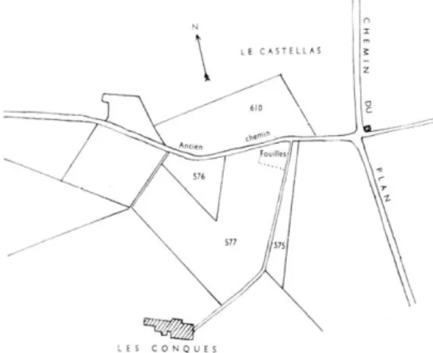 Fig.  1.  —  Plan  Cadastral.  Commune  de  Cucuron  (Vaucluse i,  quartier  des  Conques