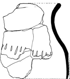Fig.  9.  —  Couteau  en  fer  à  soie  repliée  en  volute  (a) crochet en  fer  (b)  et  fusaiole  (c)  de la tombe B