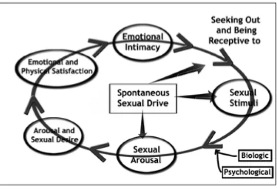 Figure 1:Modélisation non -linéaire de la réponse sexuelle féminine 